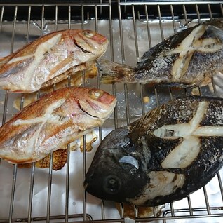 メジナ(グレ)と鯛の塩焼き